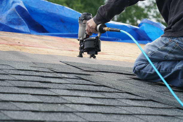 Best Roof Moss and Algae Removal  in East Speer, NC